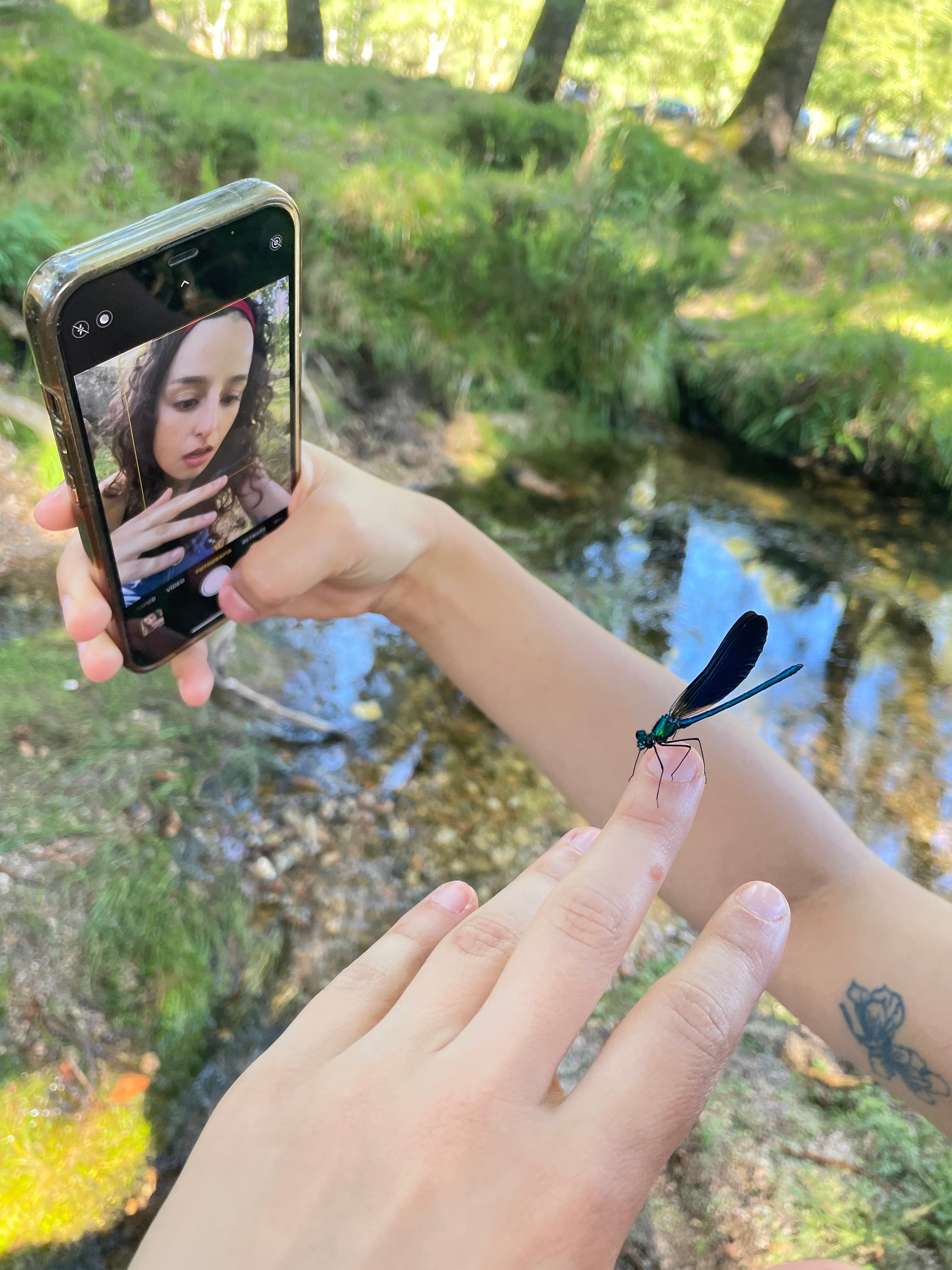 Person holding a photo while taking a selfie holding a dragonfly 