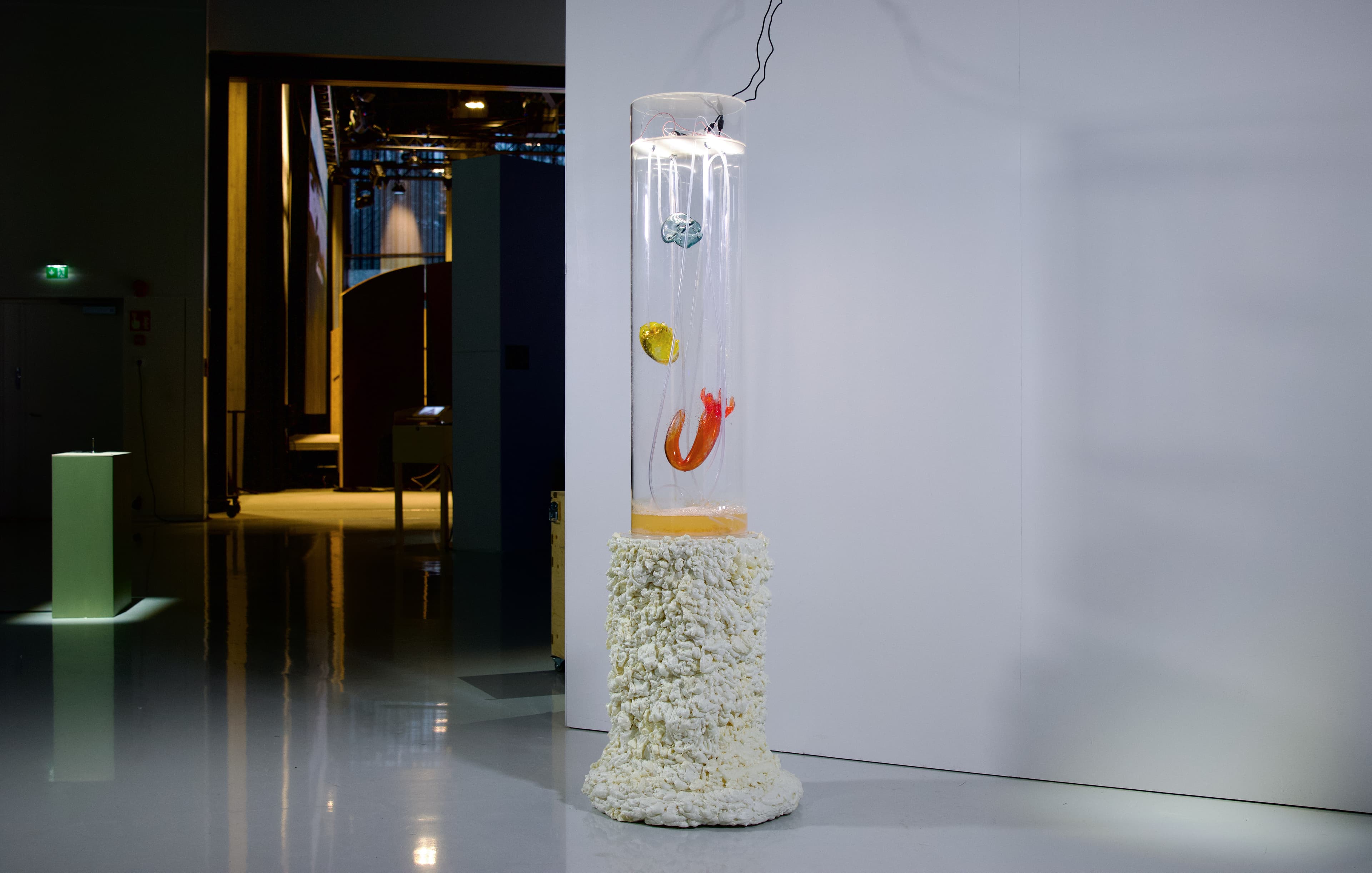 A bio-artwork sculpture