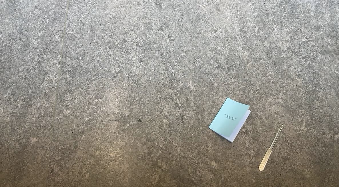one book laying on a gray pattern-rich floor. next to the book lays a letteropener. the book's cover is blue and shows nothing besides the text: "I would like you to take me on a narrated trip to one of your favorite places. You can describe it to me however you like."